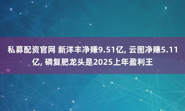 私募配资官网 新洋丰净赚9.51亿, 云图净赚5.11亿, 磷复肥龙头是2025上年盈利王
