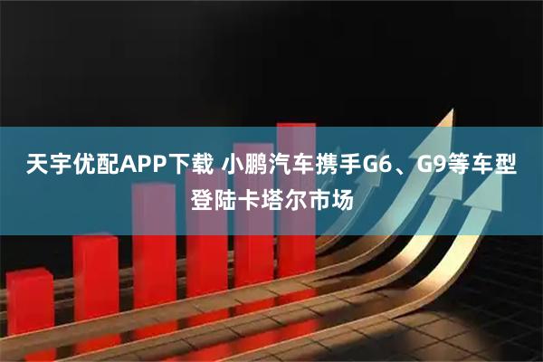 天宇优配APP下载 小鹏汽车携手G6、G9等车型登陆卡塔尔市场