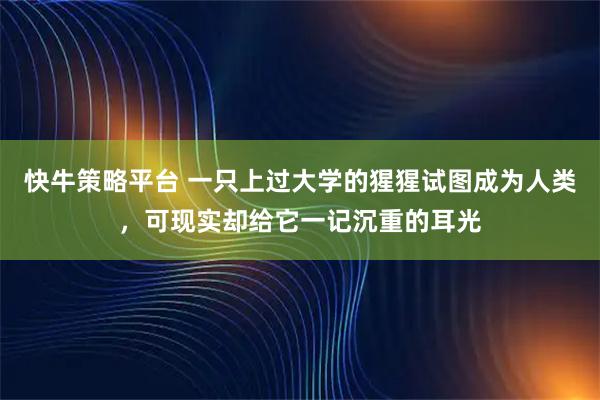 快牛策略平台 一只上过大学的猩猩试图成为人类，可现实却给它一记沉重的耳光
